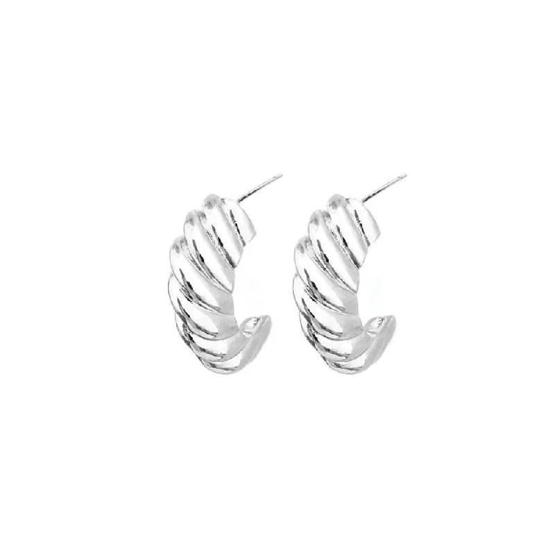 women's crystal drop earrings -Silver Plated Cresson Hoops