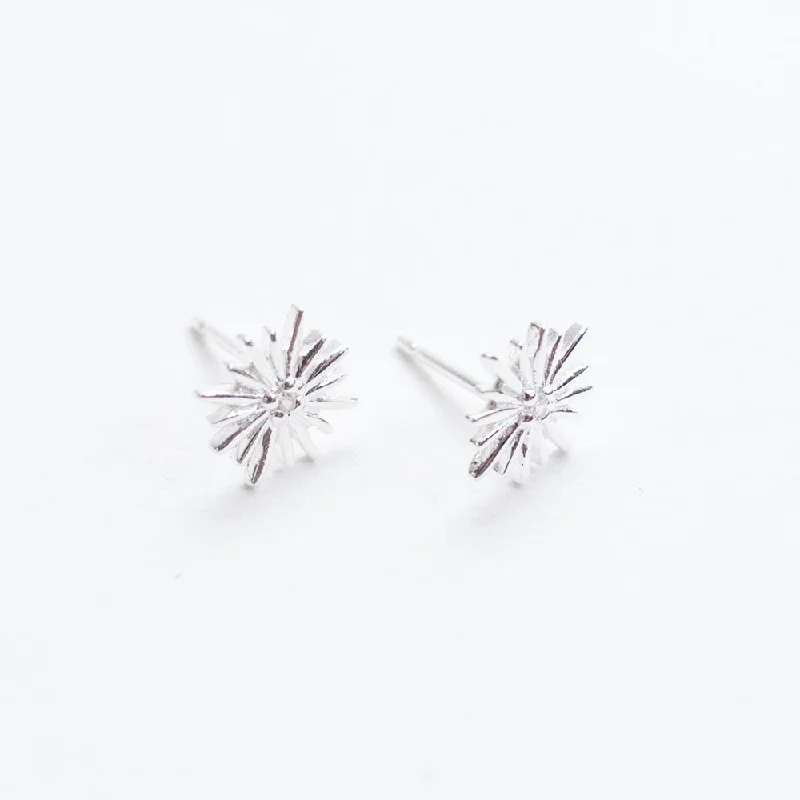 women's oversized earrings -Silver CZ Starburst Studs